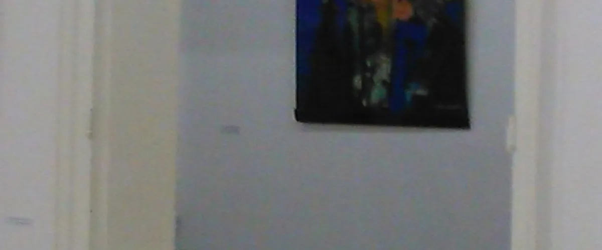 Foto 3 Museu de Artes Visuais Ruth Schneider