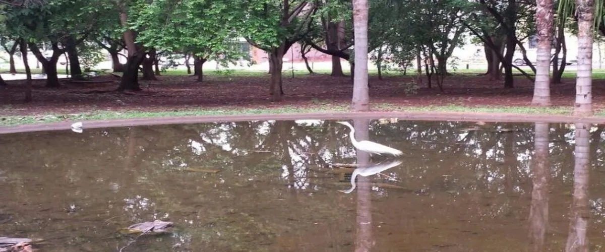 Foto 4 Praça Omilton Visconde