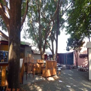 Foto de Feira do Canto