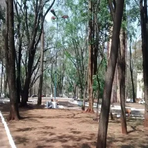 Foto de Parque Municipal do Morro de Sao Bento