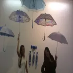 Foto 1 Museu de Artes Plasticas de Anapolis
