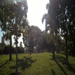 Foto 2 Parque Belem