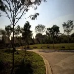 Foto 5 Parque Belem