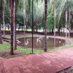 Foto 3 Praça Omilton Visconde