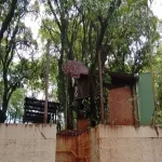 Foto 3 Prefeito Luiz Roberto Jabali Park