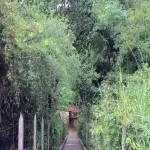 Foto 4 Reserva Florestal do Poço Escuro